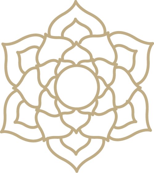 db icon 1gold